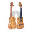 Ukelele Concierto VINTAGE Maple2