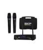 Micrófono Inalámbrico Doble de Mano UHF 300D SKP1