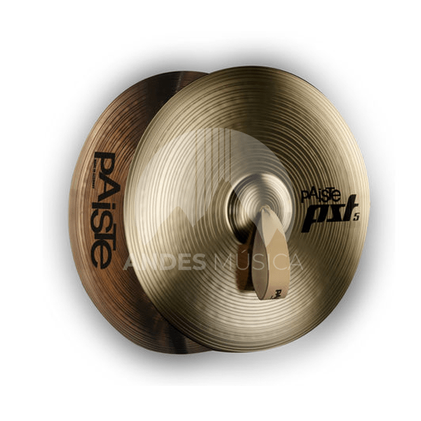 スピードパッション他 ブラシレスアンプ2個＆モーター5個セット Platillos para Banda PST5 14