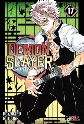 Demon Slayer - Kimetsu No Yaiba 171