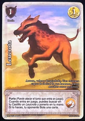 Leucrota Roma1