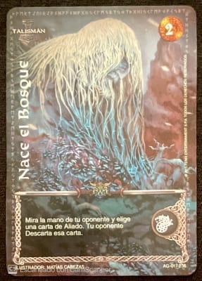 Nace el Bosque Milenario1