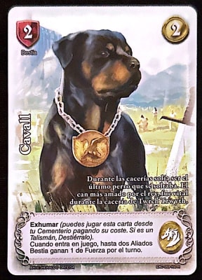 Cavall1