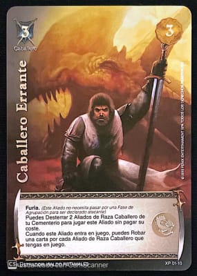 Caballero Errante1