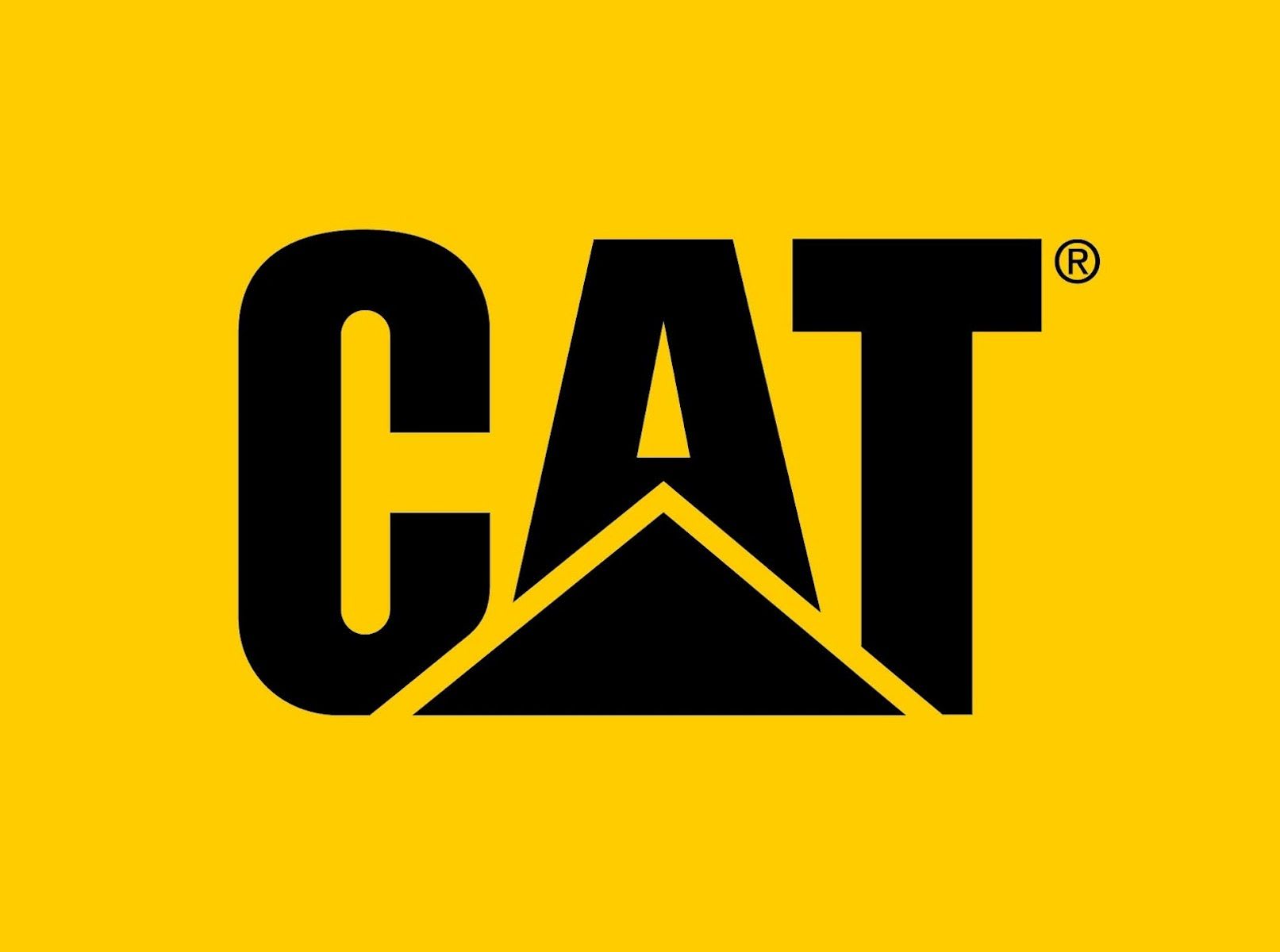 BOTIN CAT HYDRAULIC ST / CAFÉ | Worksafety | Elementos de Protección  Personal