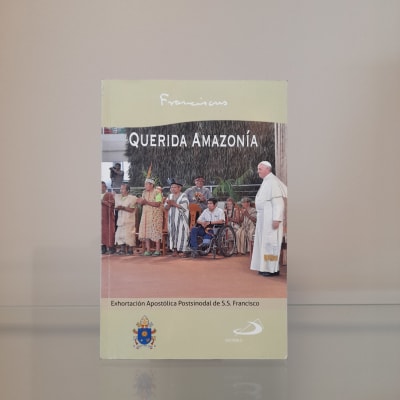QUERIDA AMAZONIA
