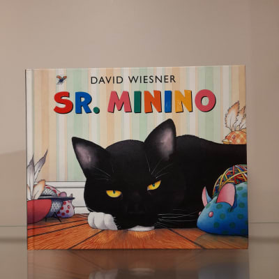 SEÑOR MININO