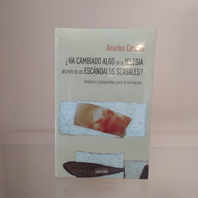 ¿HA CAMBIADO ALGO EN LA IGLESIA DESPUES DE LOS ESCANDALOS SEXUALES?