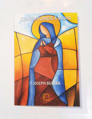 LIBRO CONTEMPLANDO A MARIA