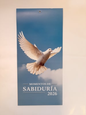 CALENDARIO 2026 35CM
