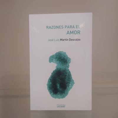 RAZONES PARA EL AMOR