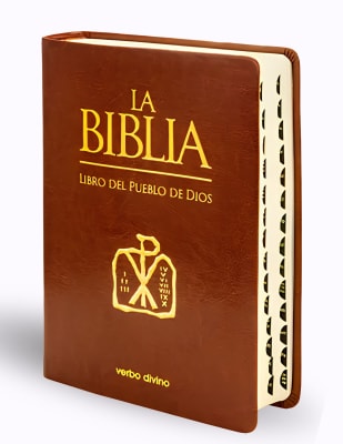 LA BIBLIA - LIBRO DEL PUEBLO DE DIOS EDICION SIMIL PIEL
