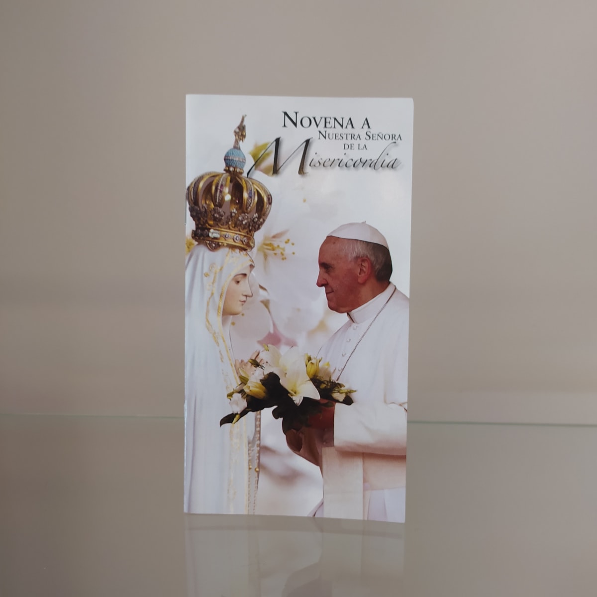 NOVENA A NUESTRA SEÑORA DE LA MISERICORDIA1