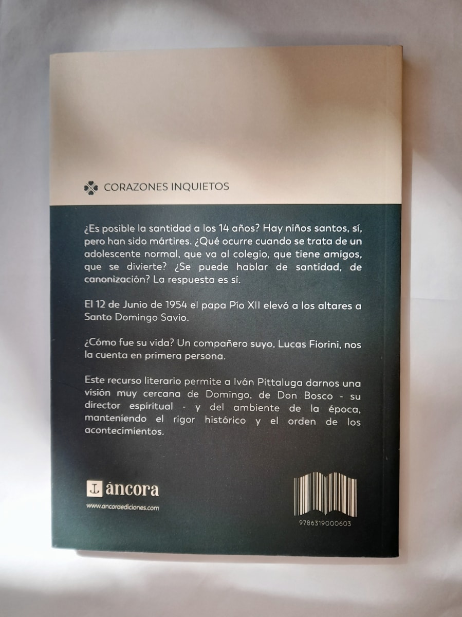 MI AMIGO DOMINGO SAVIO2