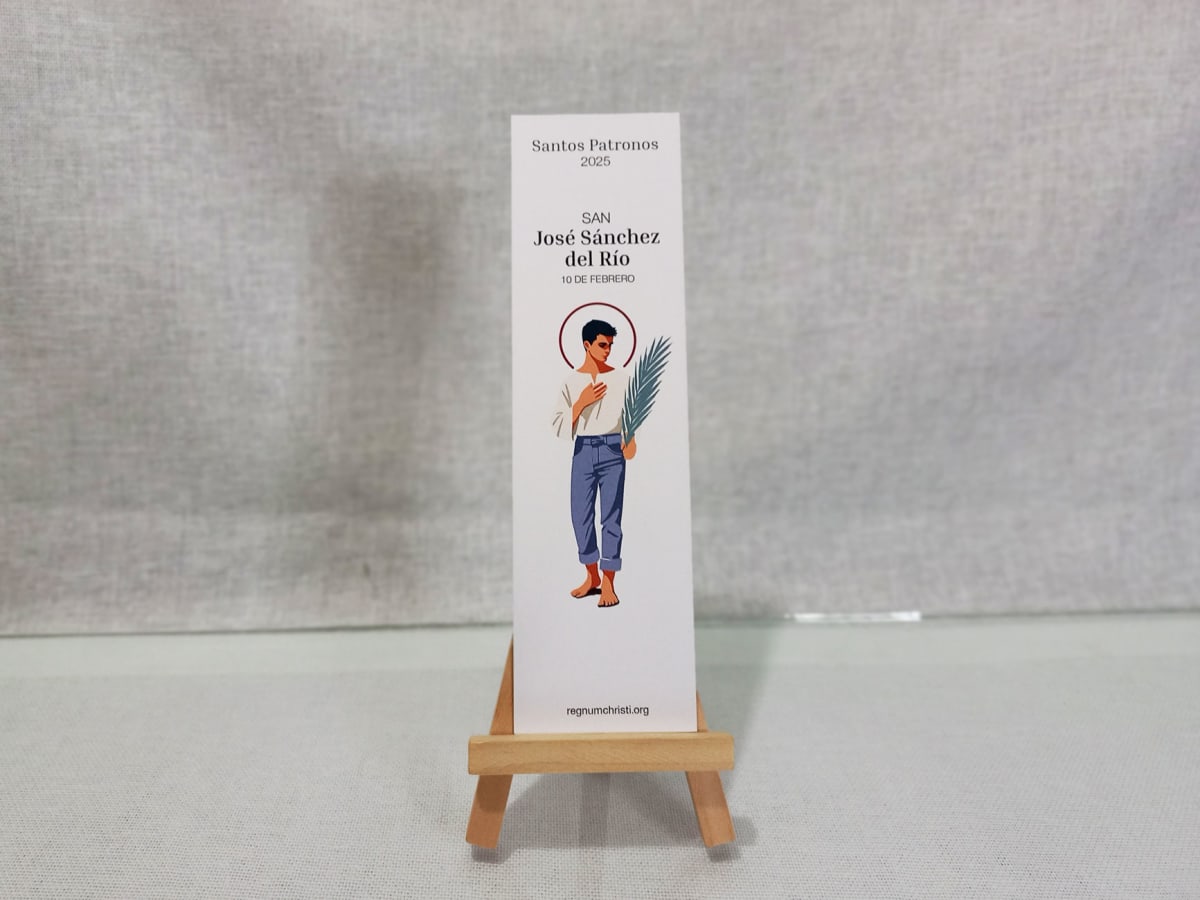 SEPARADOR DE LIBRO SANTOS PATRONOS9