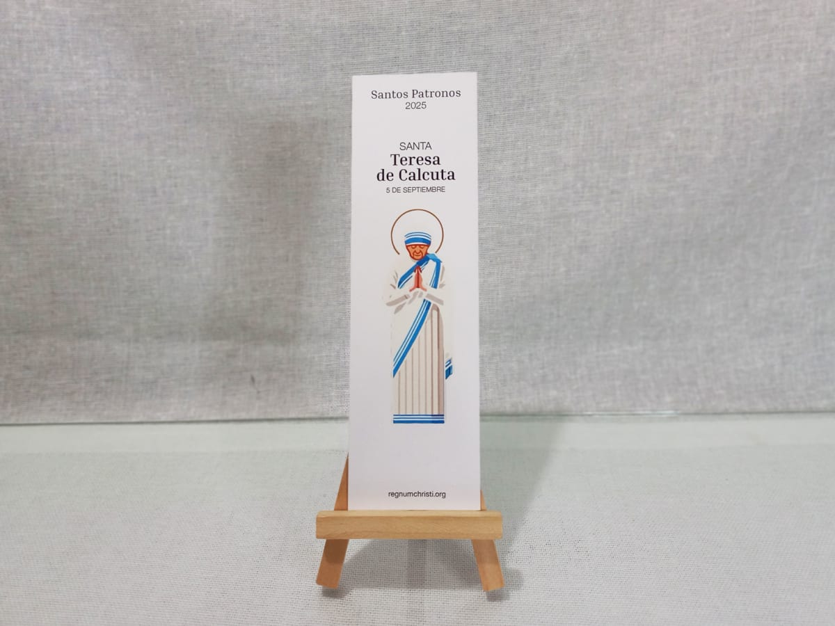 SEPARADOR DE LIBRO SANTOS PATRONOS17