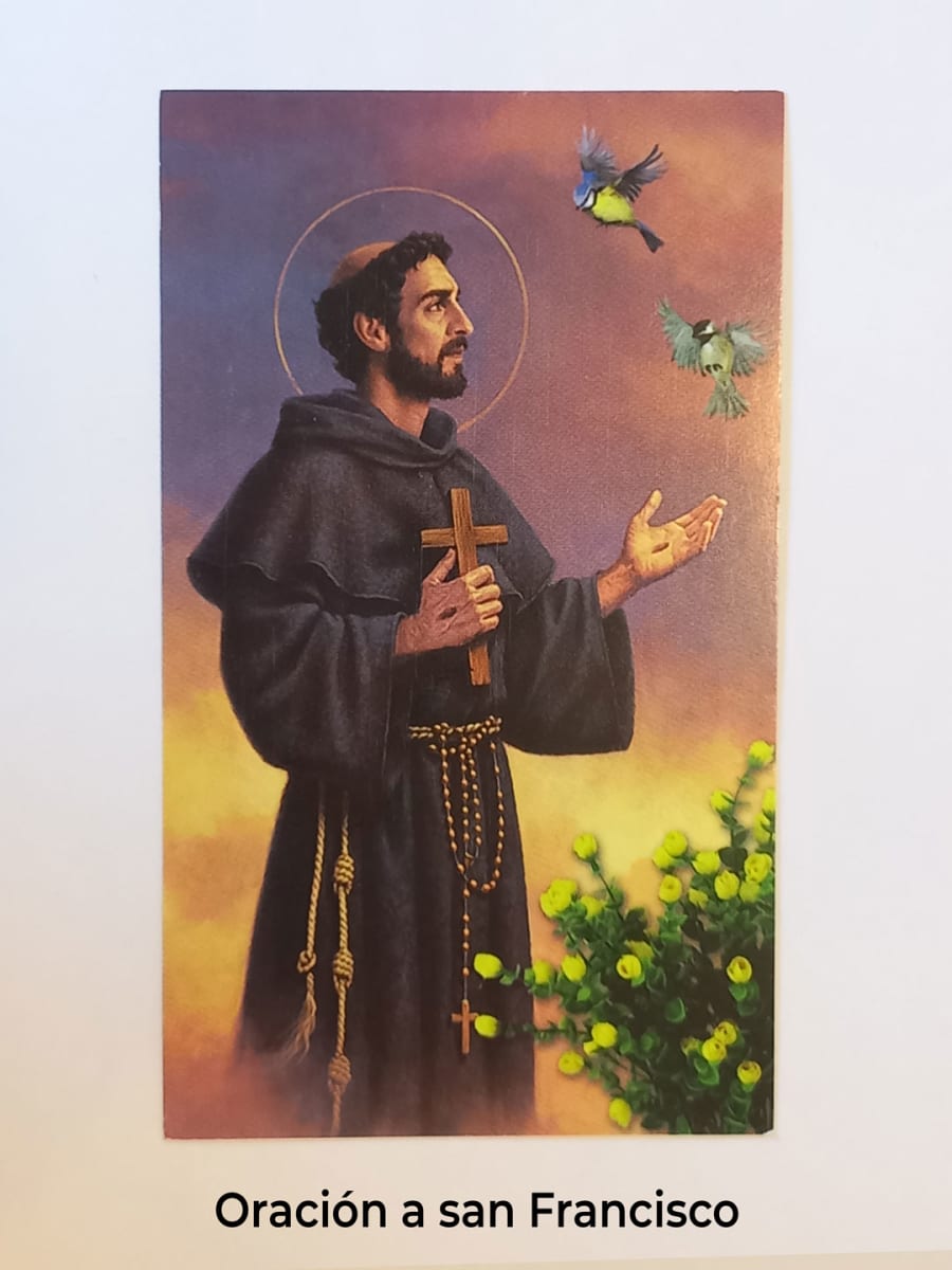 SANTITOS14