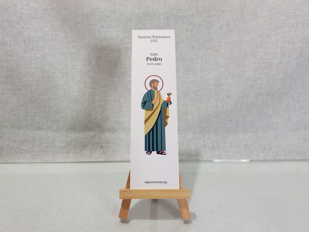 SEPARADOR DE LIBRO SANTOS PATRONOS3