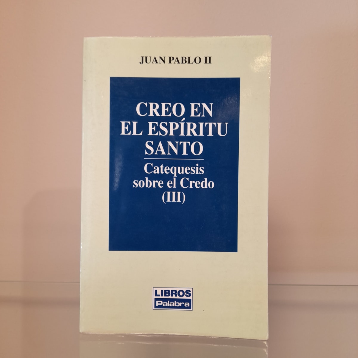 CREO EN EL ESPÍRITU SANTO. CATEQUESIS SOBRE EL CREDO (III)1