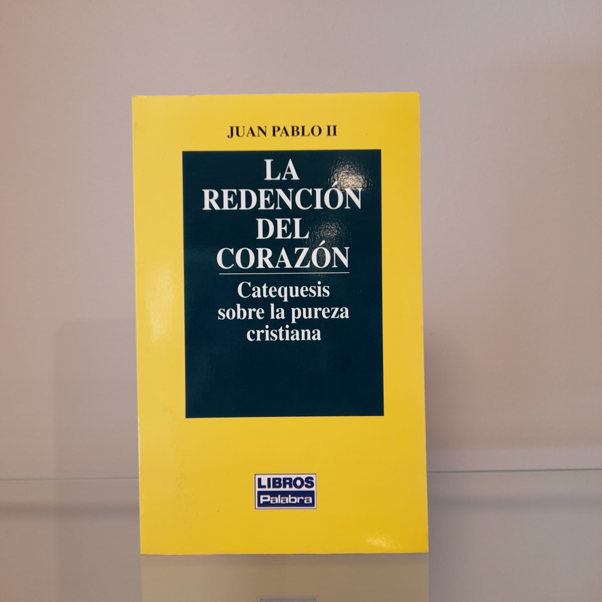 LA REDENCION DEL CORAZON,CATEQ PUREZA1
