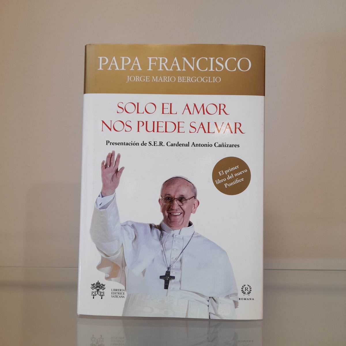 SOLO EL AMOR NOS PUEDE SALVAR1