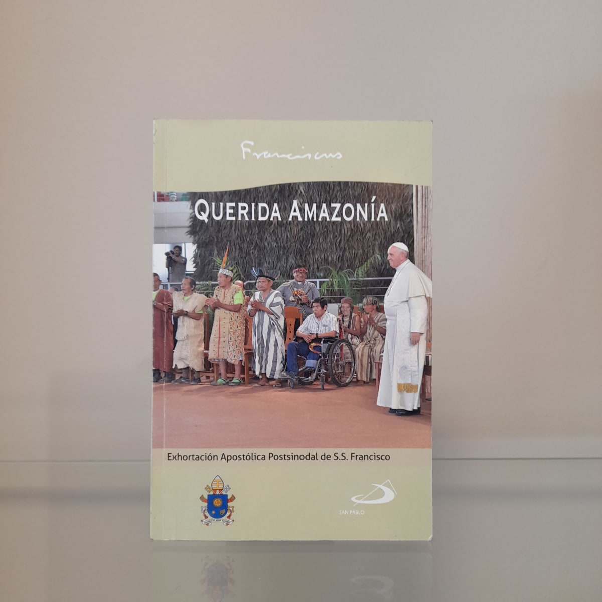 QUERIDA AMAZONIA1