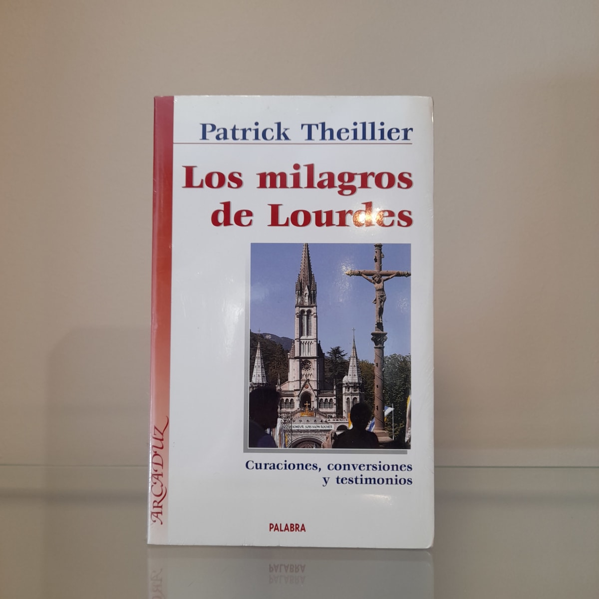 LOS MILAGROS DE LOURDES1