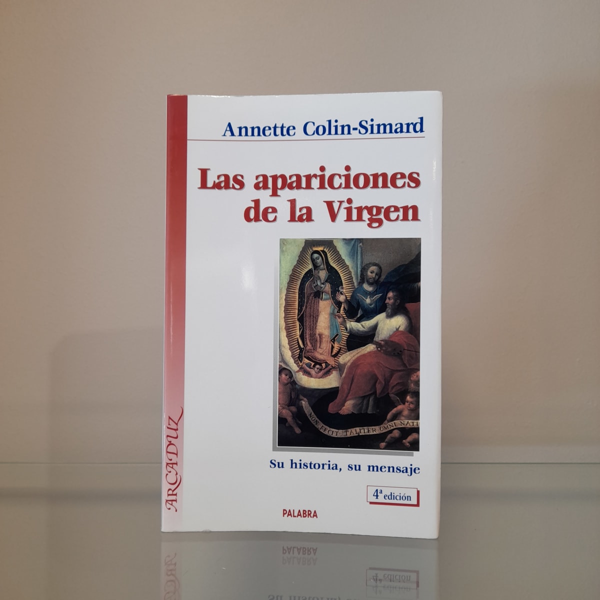 LAS APARICIONES DE LA VIRGEN1