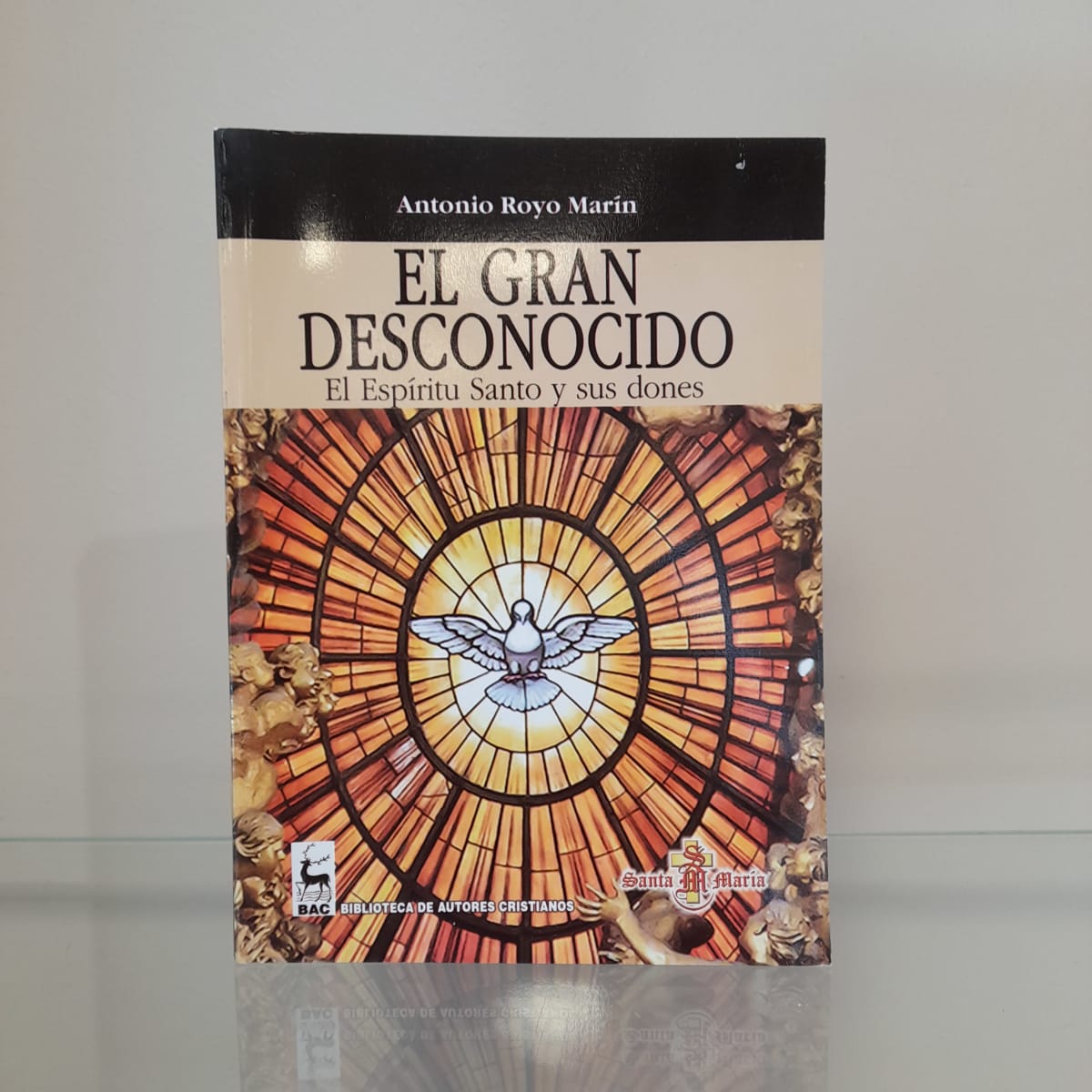 EL GRAN DESCONOCIDO1