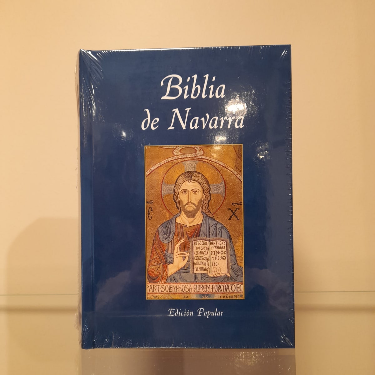 BIBLIA DE NAVARRA - BIBLIA DE ESTUDIO1