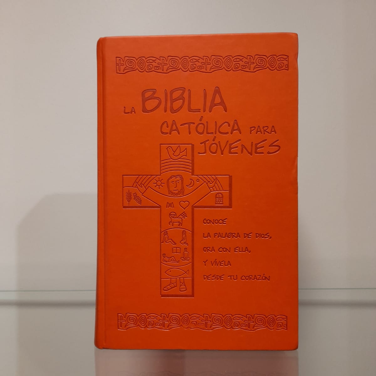 LA BIBLIA CATOLICA PARA JOVENES1