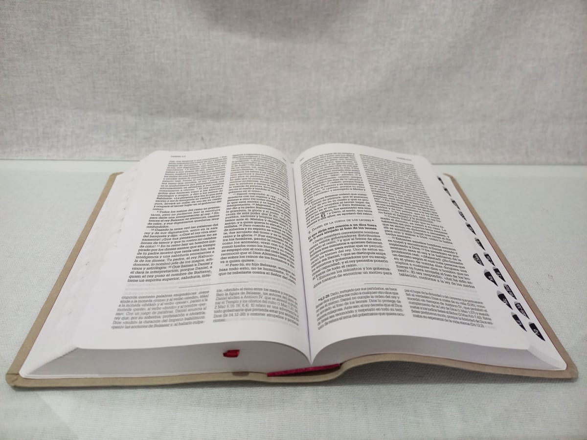 LA BIBLIA DE LA IGLESIA EN AMERICA TAPA DE CUERO SINTETICO2