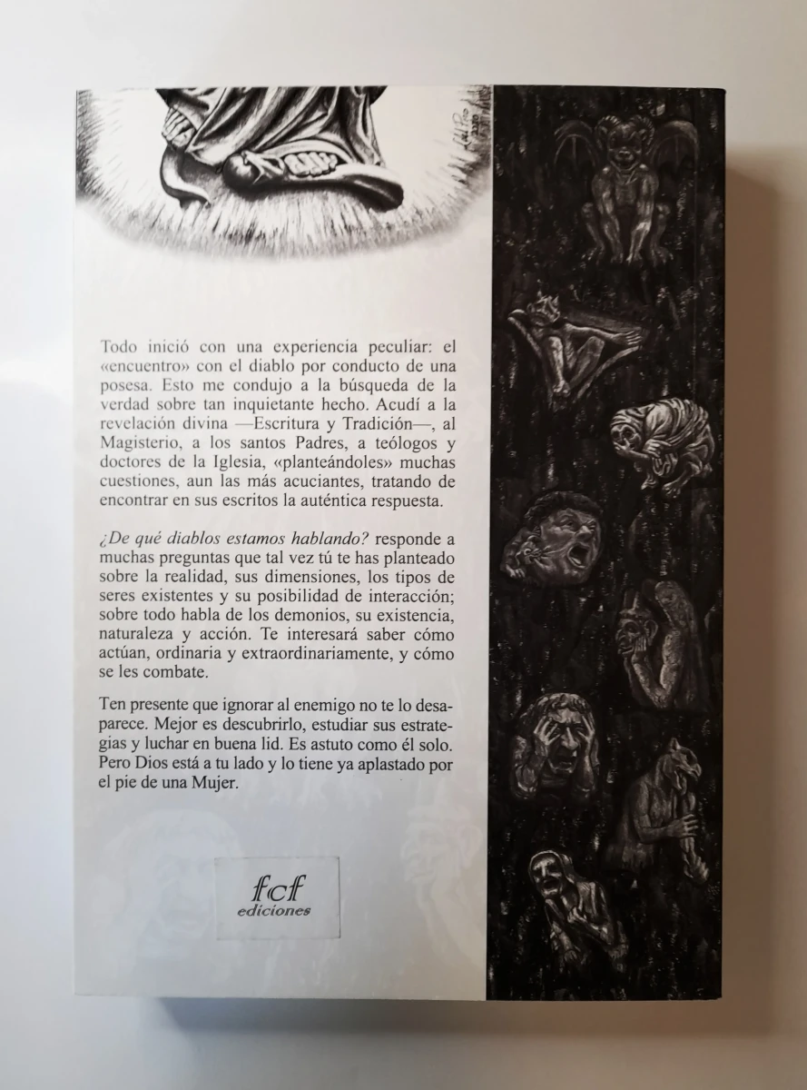 DE QUE DIABLOS ESTAMOS HABLANDO?1