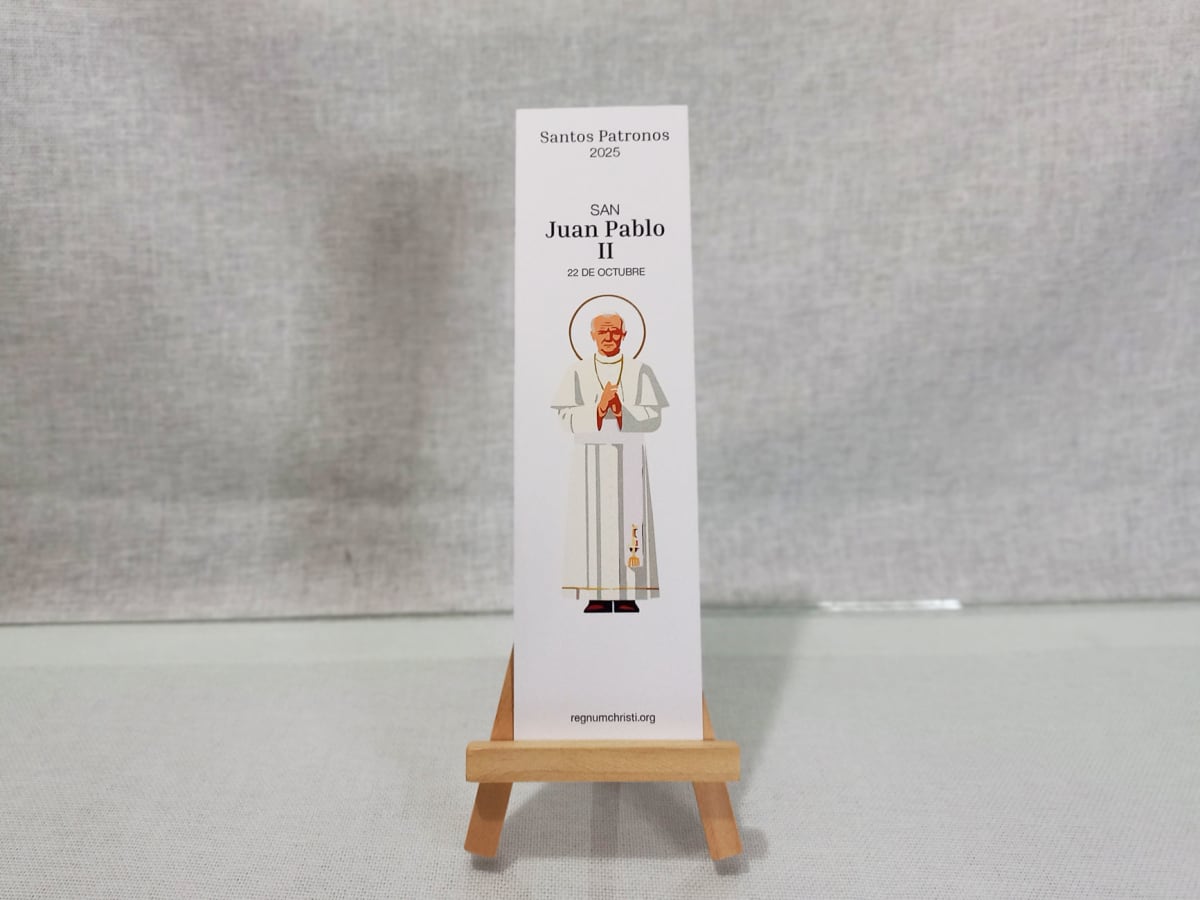 SEPARADOR DE LIBRO SANTOS PATRONOS14