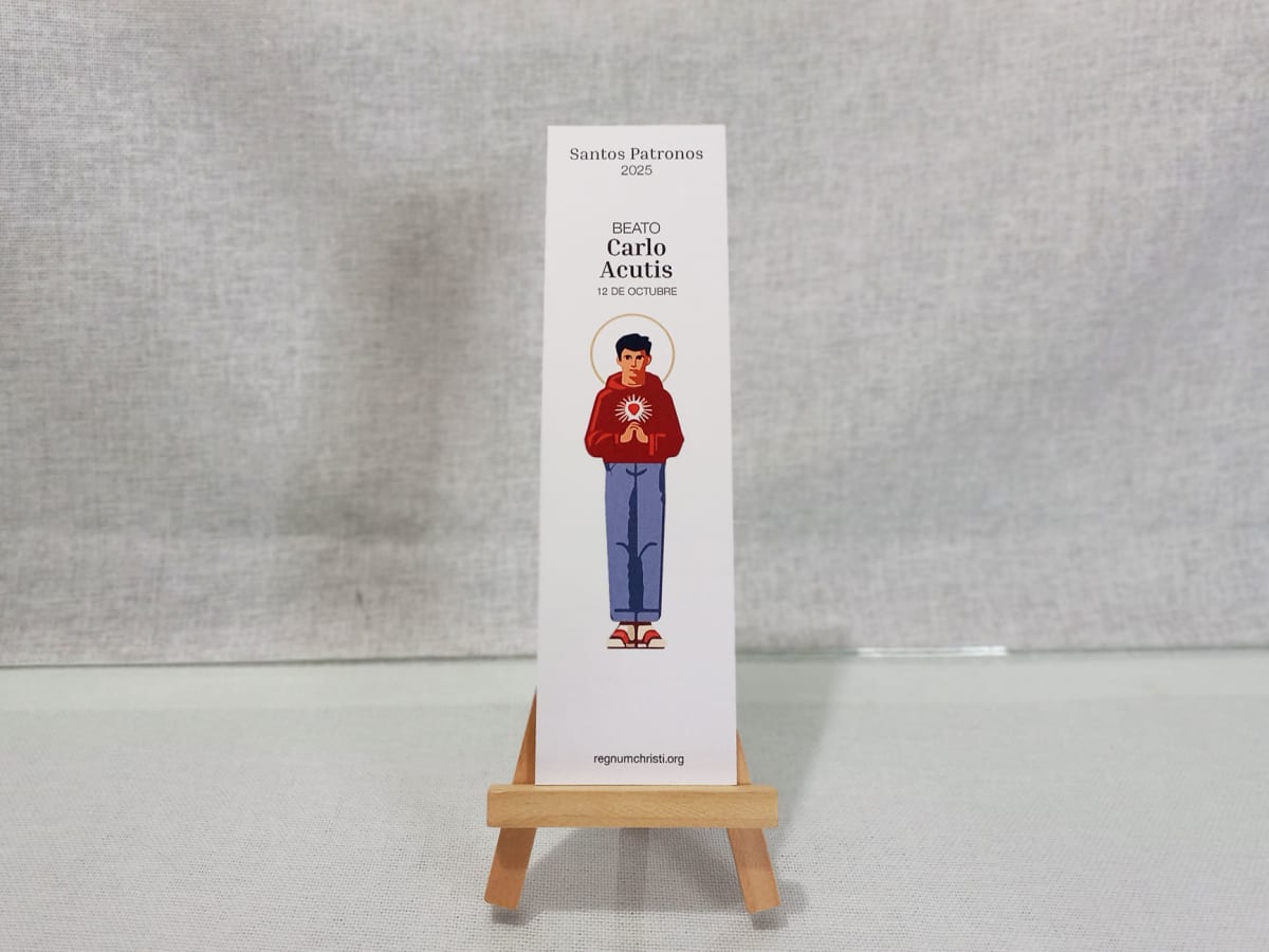 SEPARADOR DE LIBRO SANTOS PATRONOS11