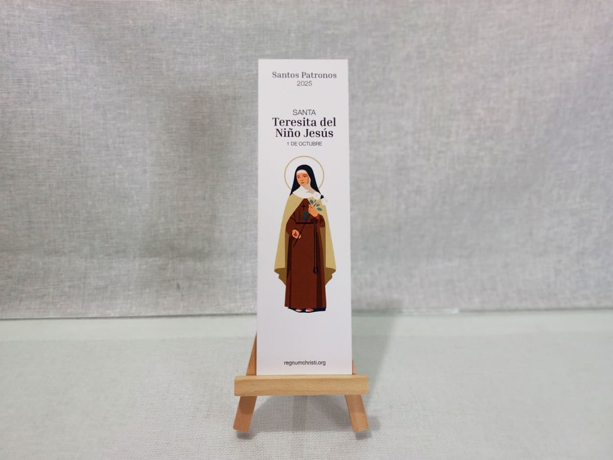 SEPARADOR DE LIBRO SANTOS PATRONOS13