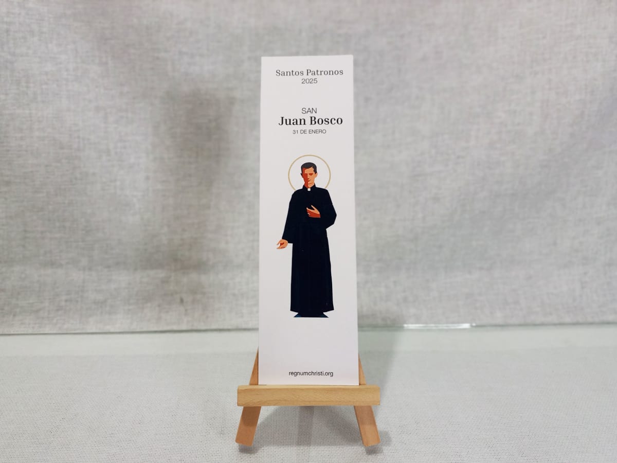 SEPARADOR DE LIBRO SANTOS PATRONOS2