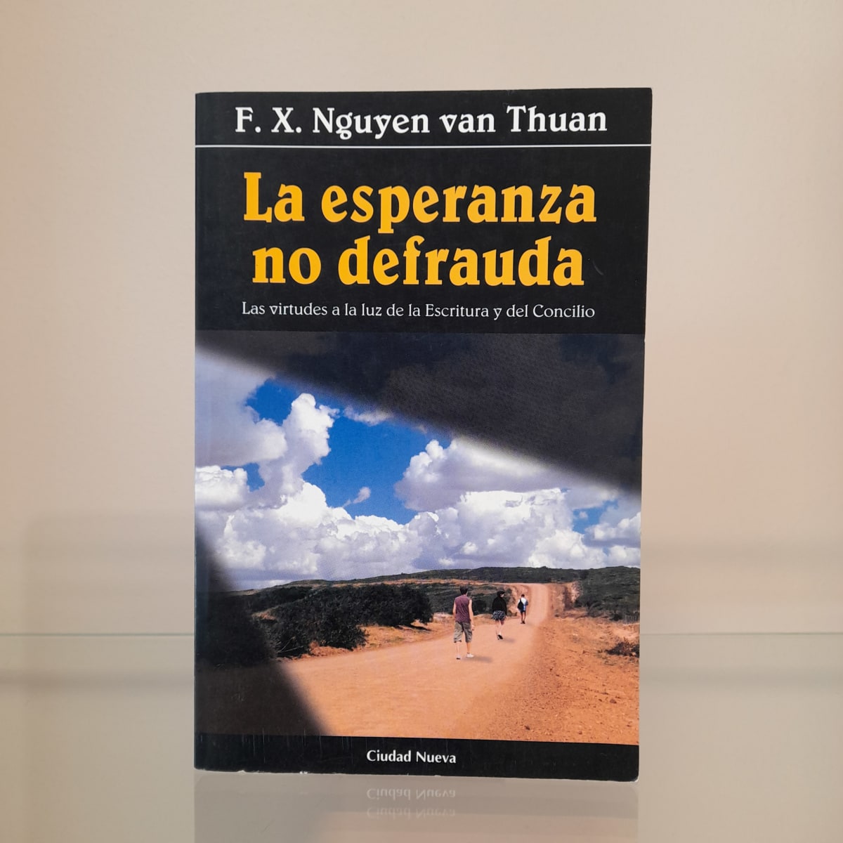 LA ESPERANZA NO DEFRAUDA1
