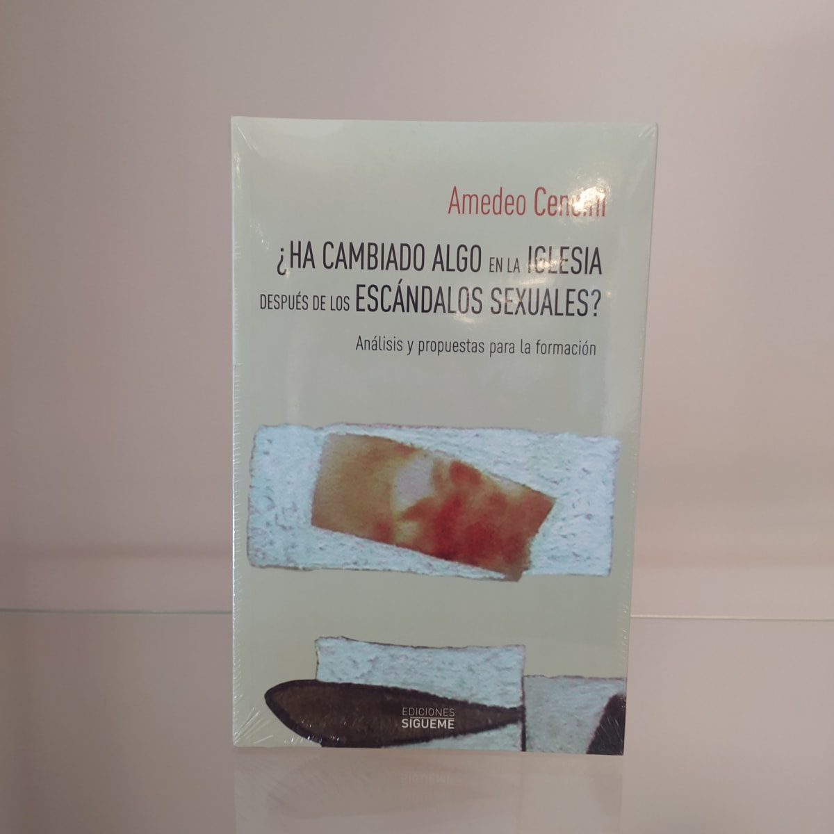 ¿HA CAMBIADO ALGO EN LA IGLESIA DESPUES DE LOS ESCANDALOS SEXUALES?1