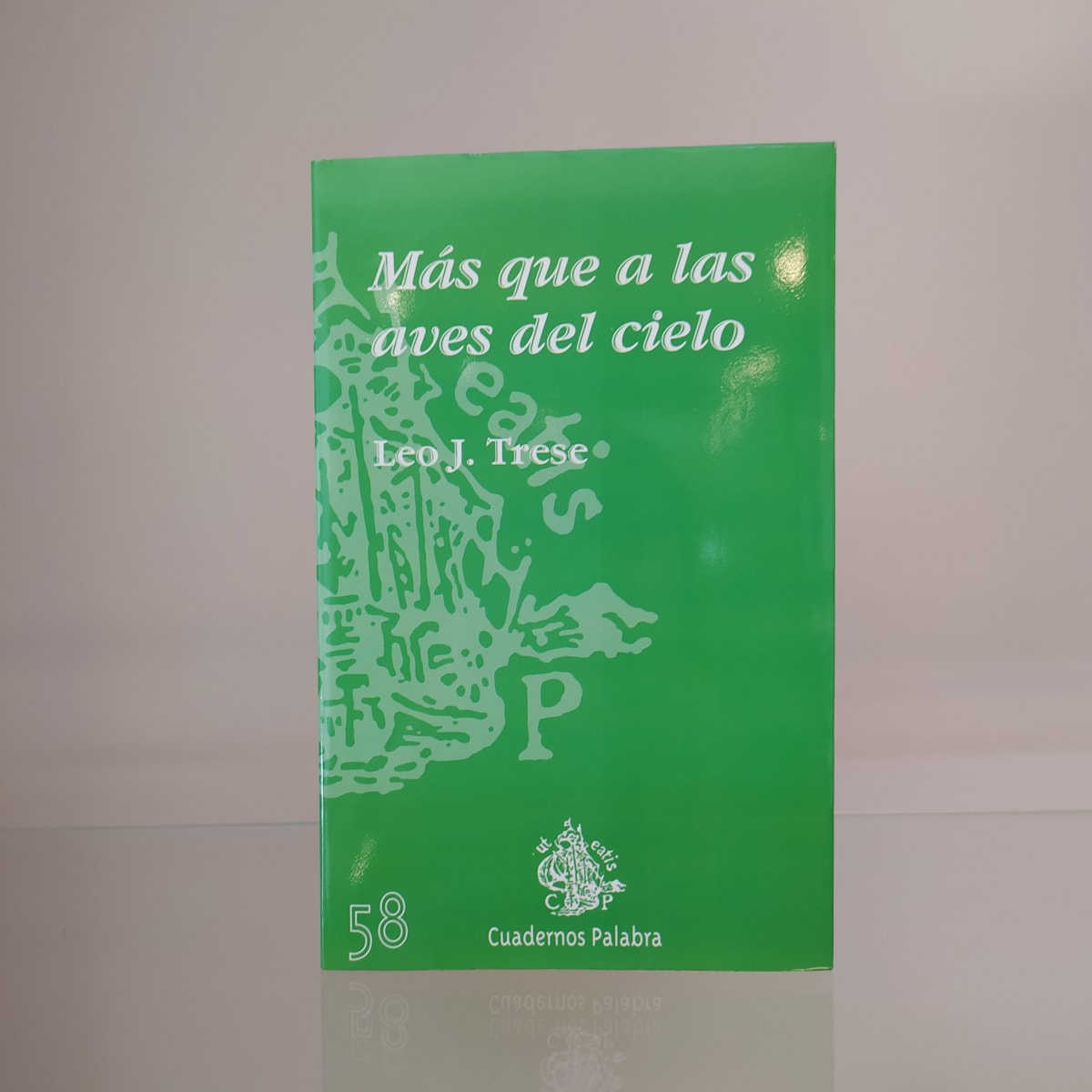 MAS QUE LAS AVES DEL CIELO1