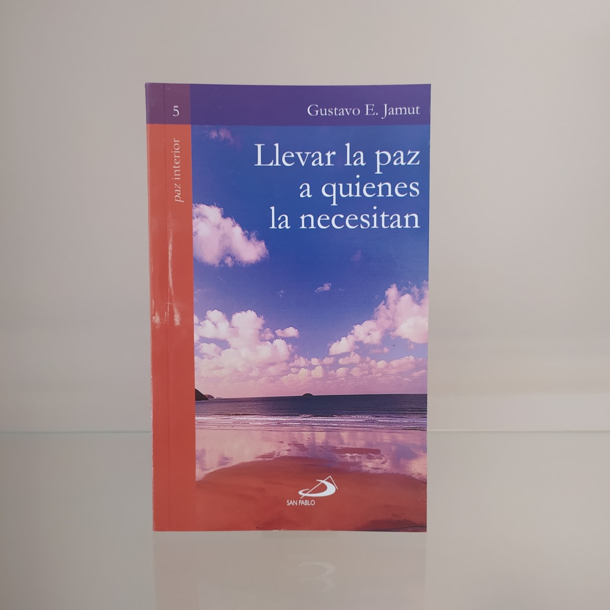 LLEVAR LA PAZ A QUIENES LA NECESITAN1