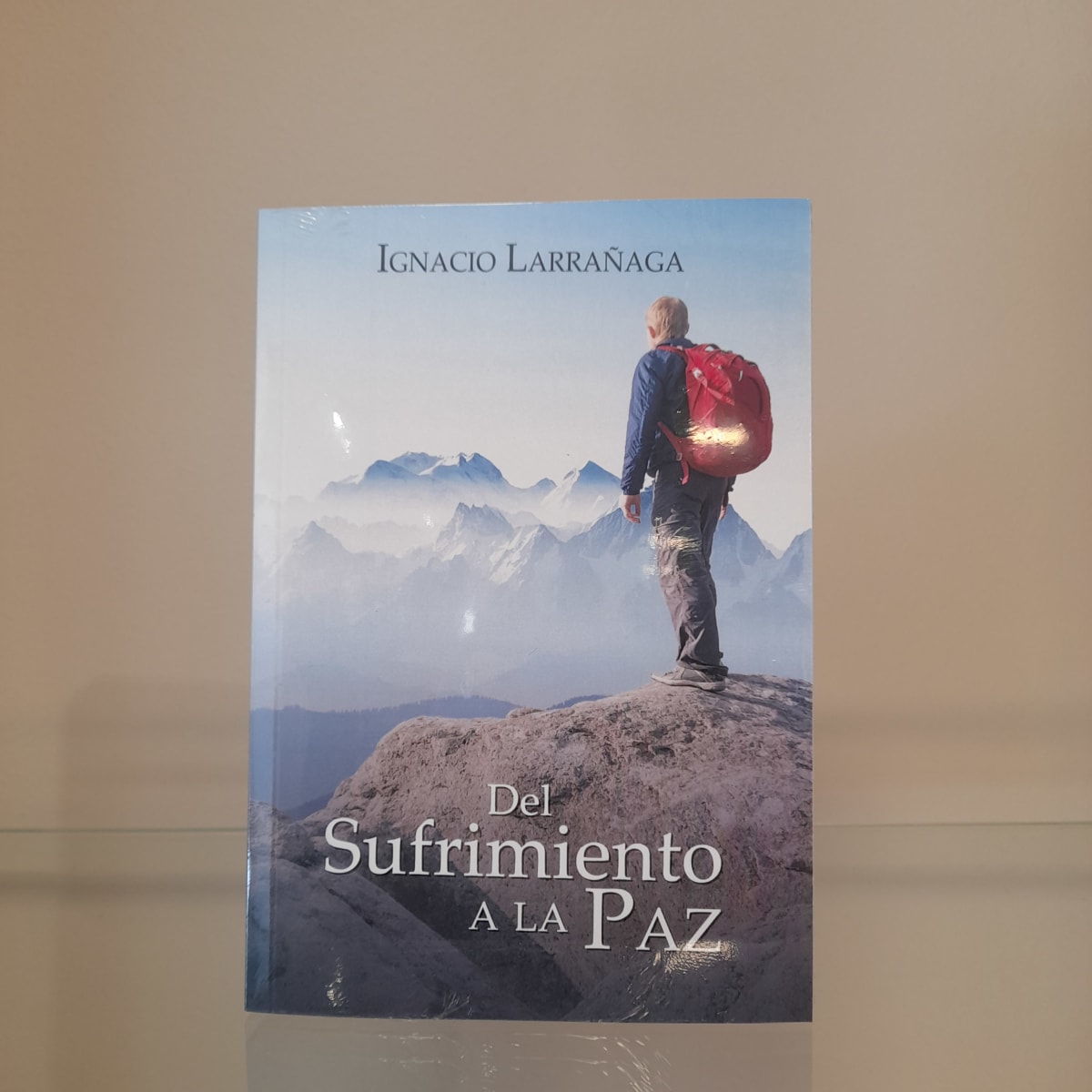 DEL SUFRIMIENTO A LA PAZ1