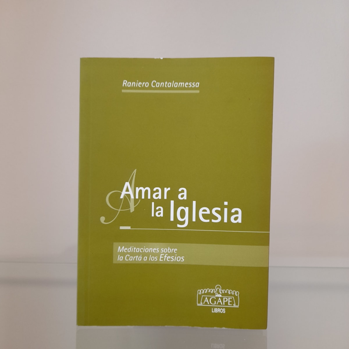 AMAR A LA IGLESIA, MEDITACIONES SOBRE LA CARTA A LOS EFESIOS1