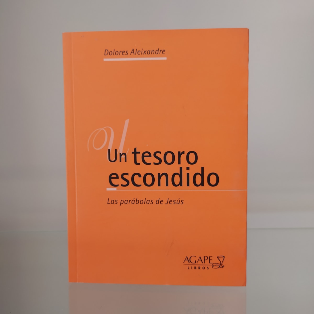 UN TESORO ESCONDIDO1