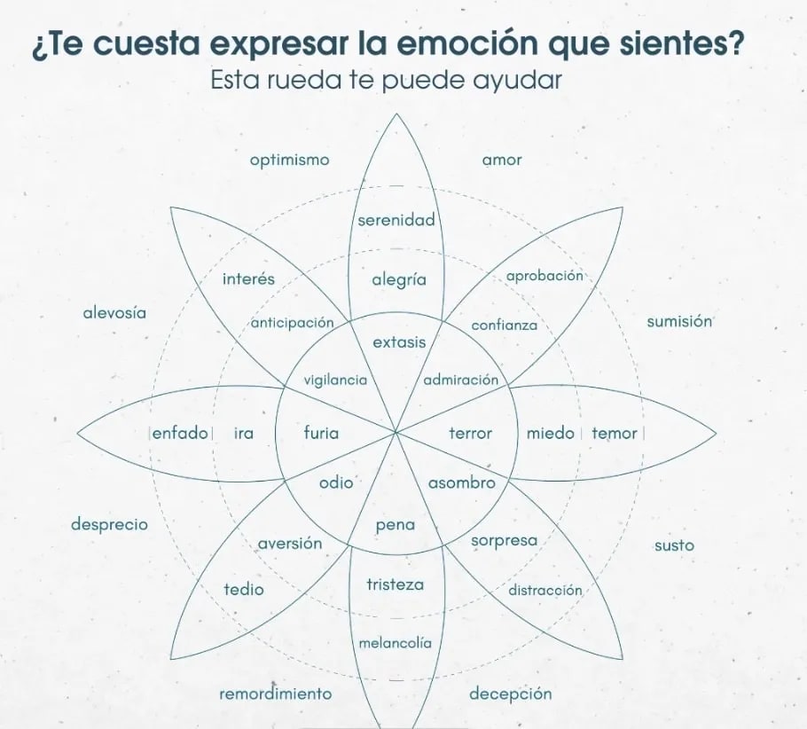 REENFOCANDO. UNA MIRADA EN TU INTERIOR3