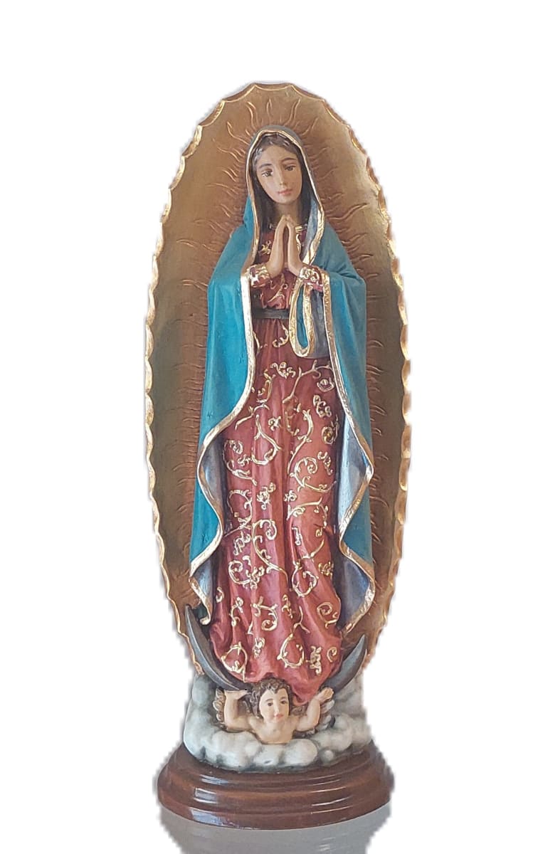 VIRGEN DE GUADALUPE 30 CM1