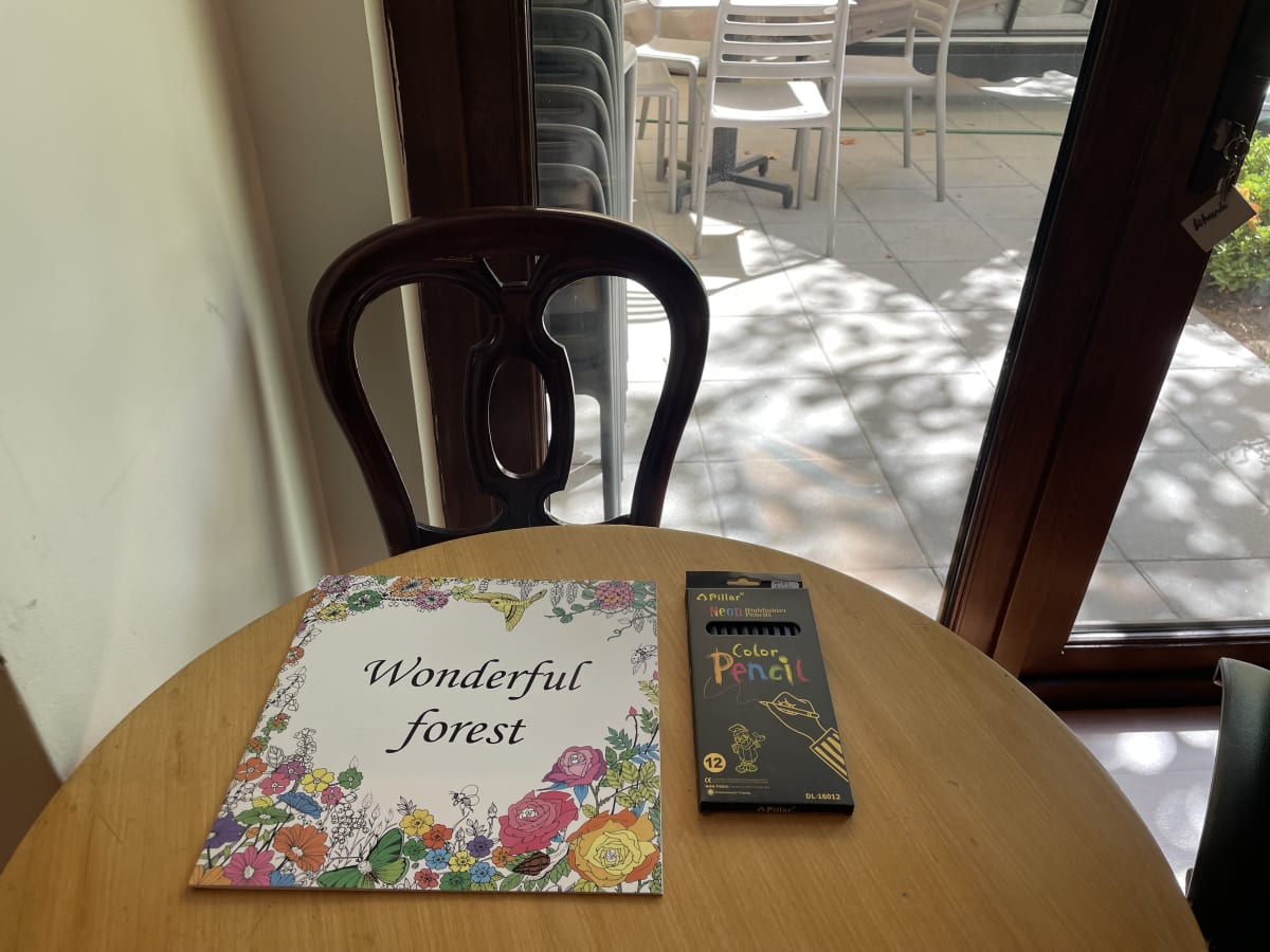 LIBRO PARA COLOREAR FLORES1