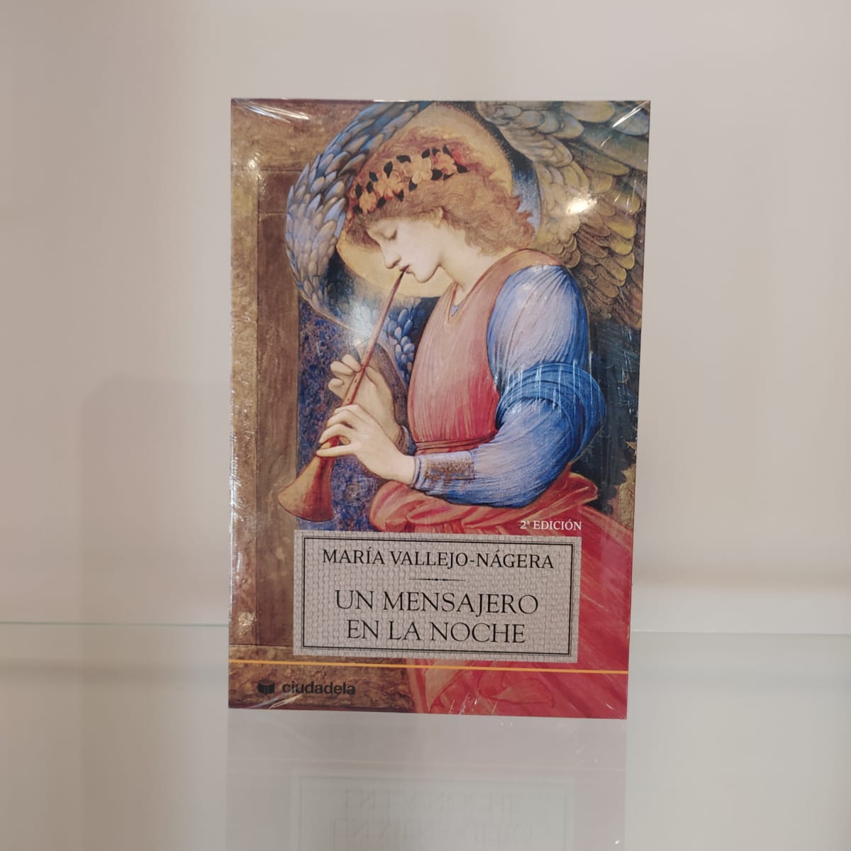 UN MENSAJERO EN LA NOCHE1