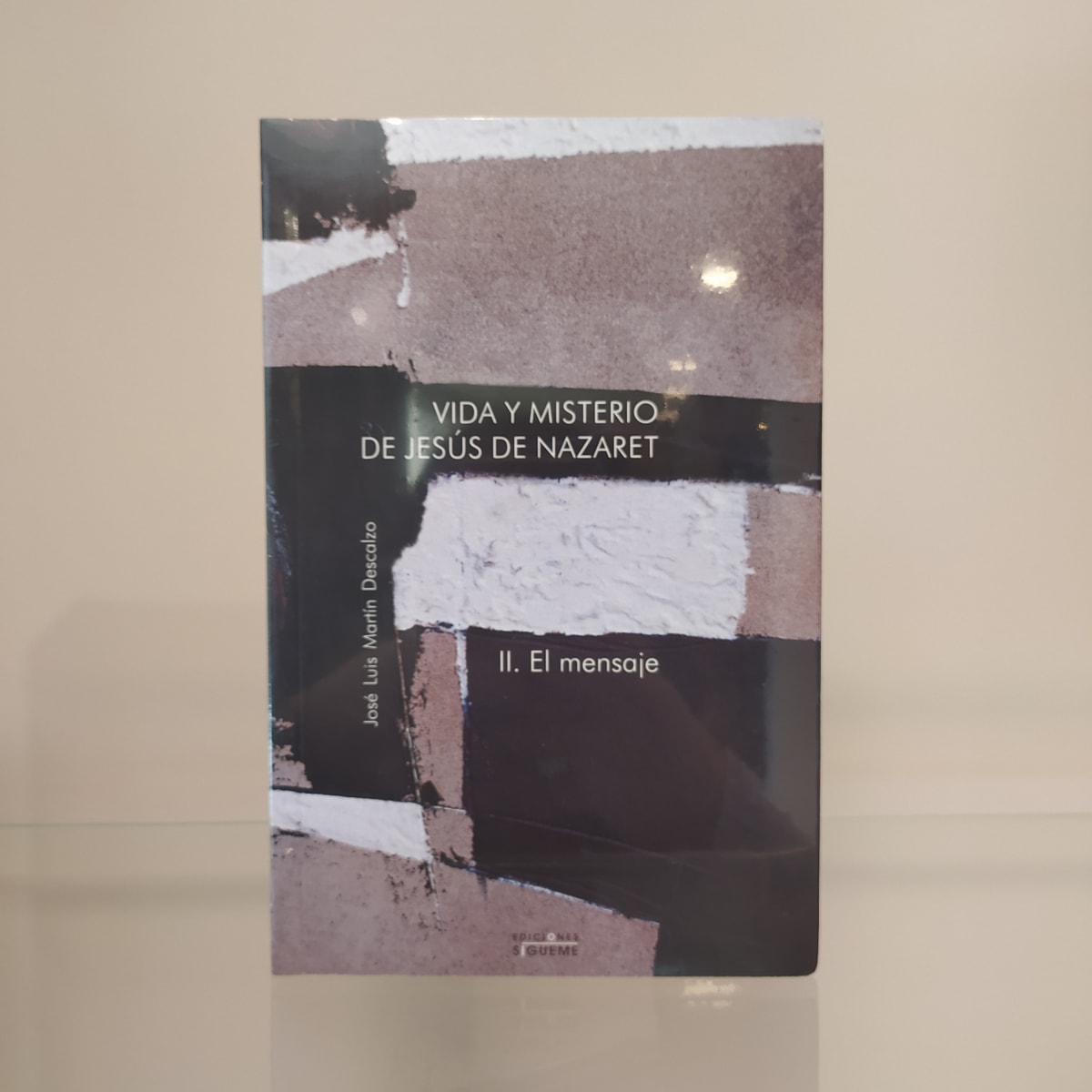 VIDA Y MISTERIO DE JESUS DE NAZARET II1
