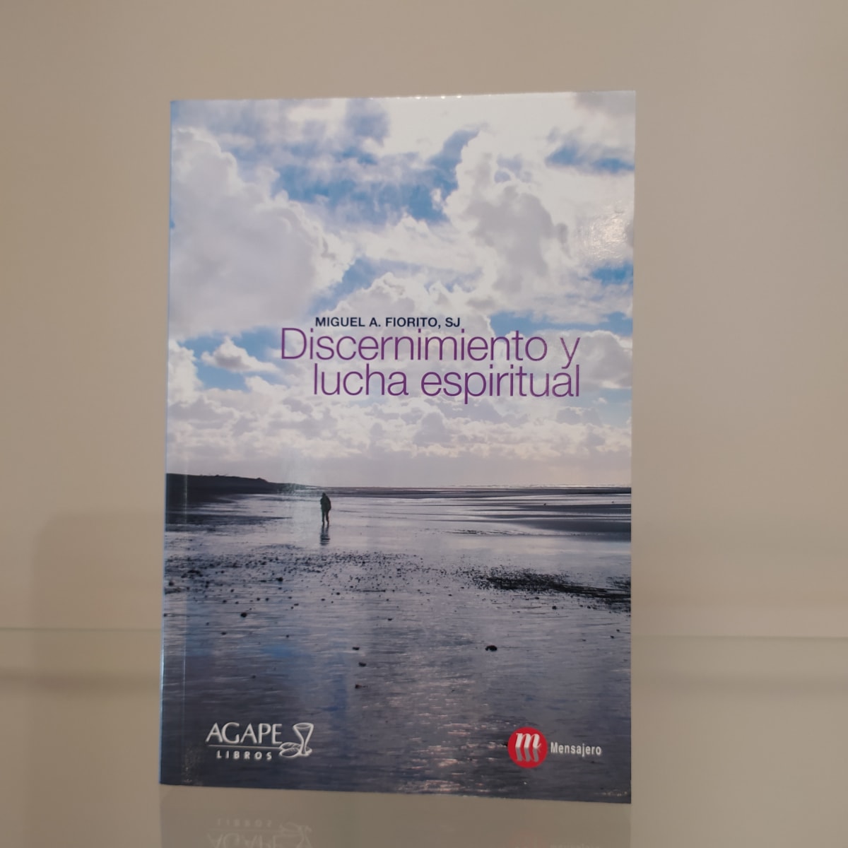 DISCERNIMIENTO Y LUCHA ESPIRITUAL1